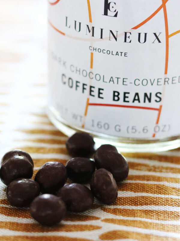 Dark Chocolate-covered Coffee Beans - Lumineux Shop- 2 Hungry Birds