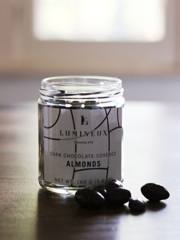 Dark Chocolate-covered Almonds - Lumineux Shop - 2 Hungry Birds