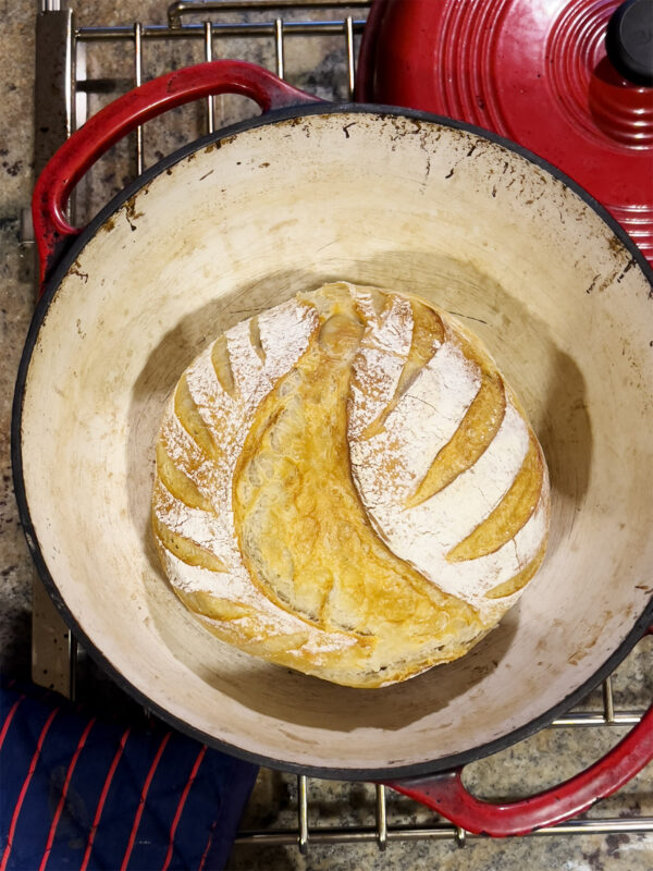 Shop Dehydrated Sourdough Starter Basil & Bloom