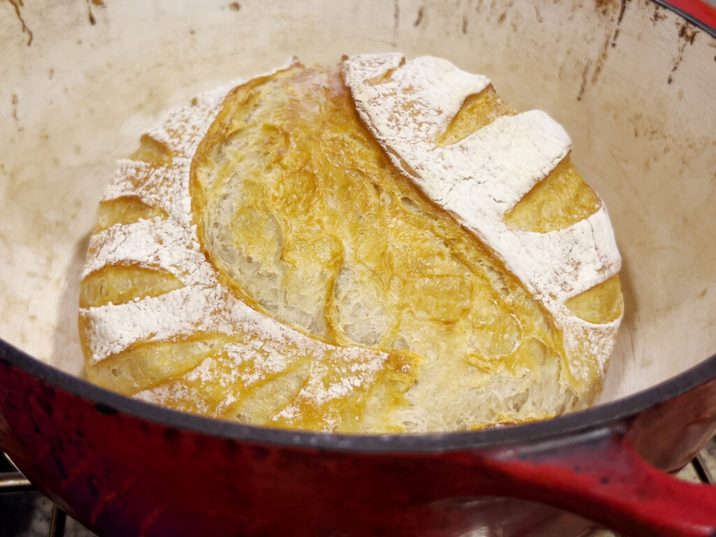 A quick intro to the world of sourdough